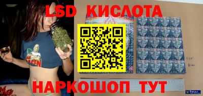 гидра Будённовск