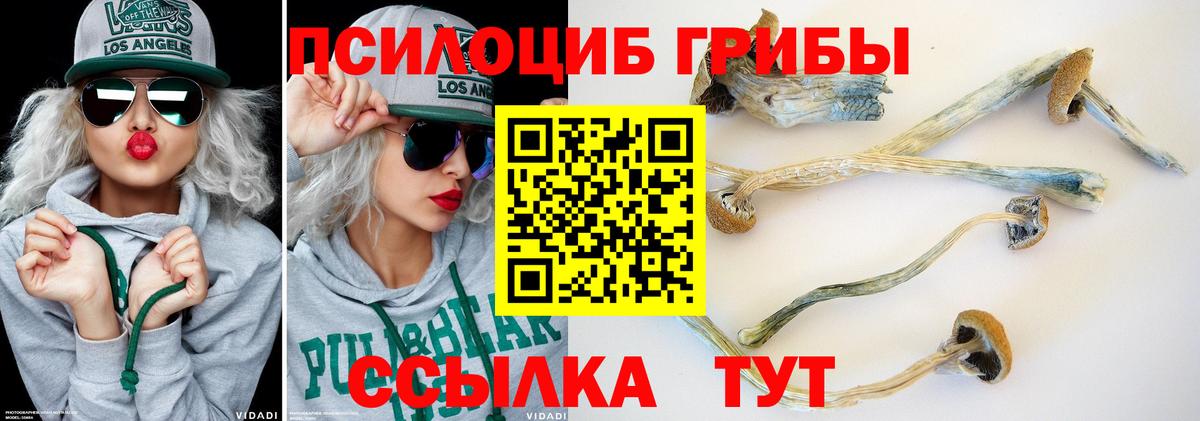 Галлюциногенные грибы Cubensis Ростов Великий
